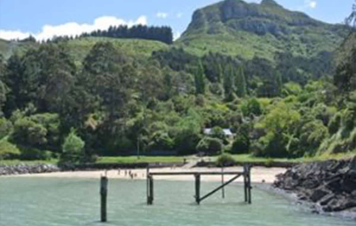 Escape Rentals The Best Beach Spots in around Christchurch Corsair Bay