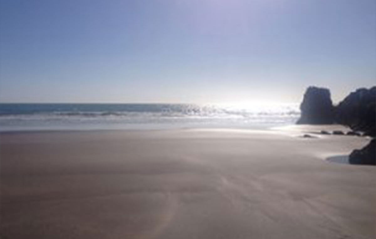 Escape Rentals The Best Beach Spots in around Christchurch Taylors Mistake