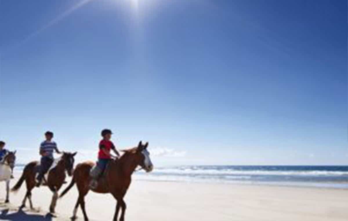 Escape Rentals The Top 10 Things to do Just North of Auckland Horse riding at Pakiri