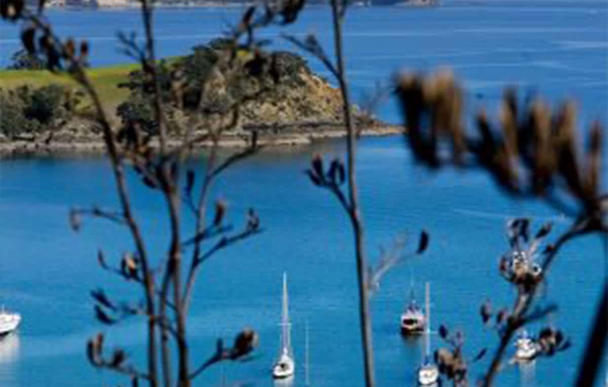 Escape Rentals The Top 10 Uniquely Auckland Activities Day trip to an isle of wine