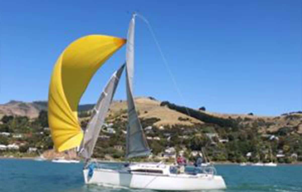 Escape Rentals The Top 5 Day Trips from Christchurch Akaroa