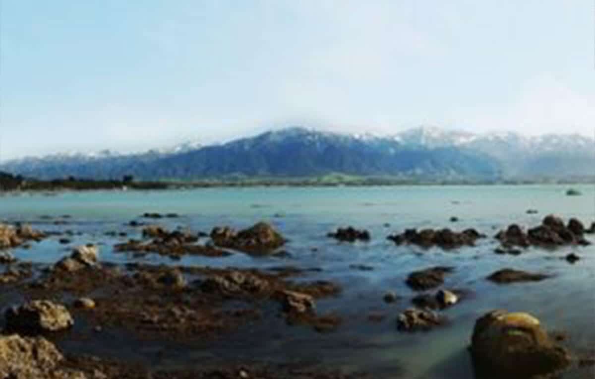 Escape Rentals The Top 5 Day Trips from Christchurch Kaikoura