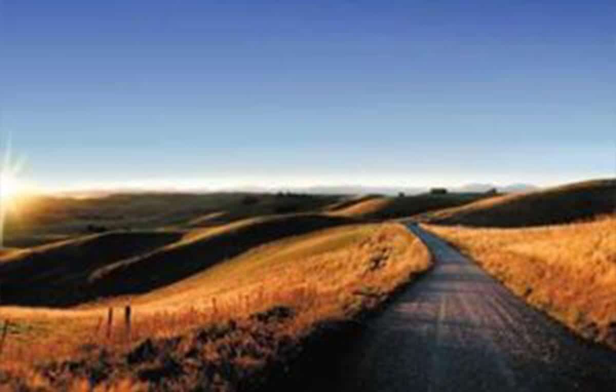 Escape Rentals The Top 5 Day Trips from Christchurch South Canterbury magic