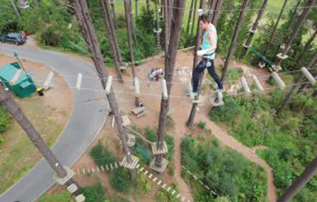 Escape Rentals Top 4 Christchurch Activities Adrenalin Forest