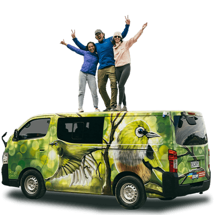 Escape Rentals NZ Cheap Campervan Rental
