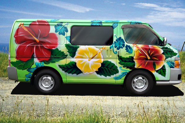 Hibiscus Summer self contained campervan