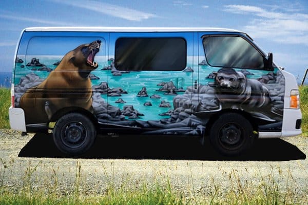 Hoiho Self Contained Campervan