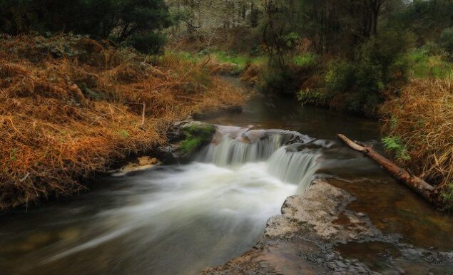 kerosene creek 1
