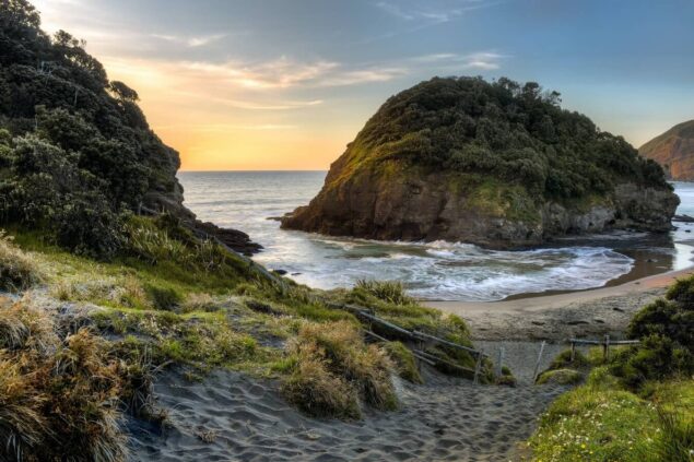 new zealand beach landscape