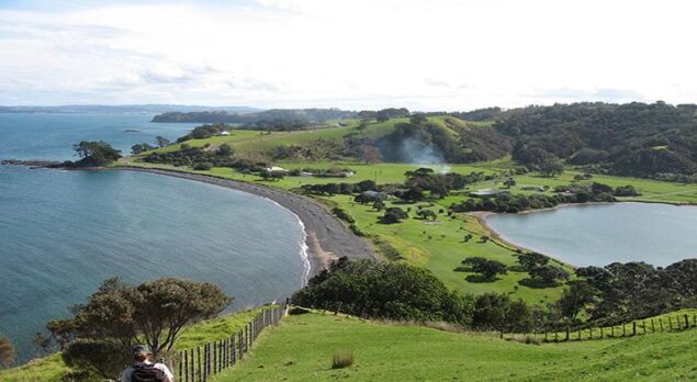 tawharanui tent auckland